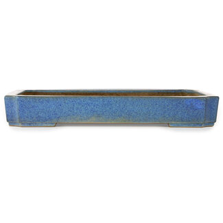 Seizan (Reihou, Kataoka Katsushi, master Seizan kiln) Maceta rectangular para bonsái azul de 477 mm de Seizan (Reihou, Kataoka Katsushi, maestro horno Seizan), Tokoname, Japón
