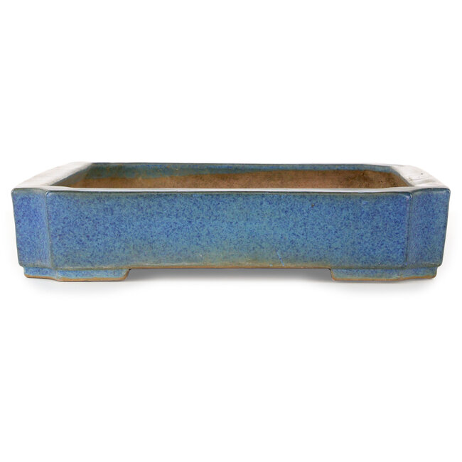 Rechthoekige blauwe bonsaipot van Seizan (Reihou, Kataoka Katsushi, meester Seizan oven) - 477 x 330 x 65 mm