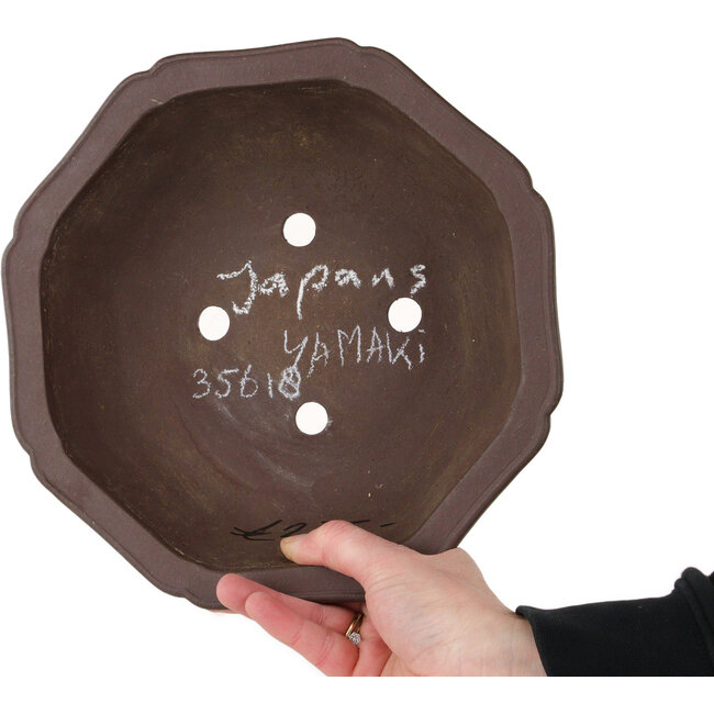 Vaso bonsai Lotus non smaltato di Yamaaki Toshio (terza generazione) - 245 x 245 x 95 mm