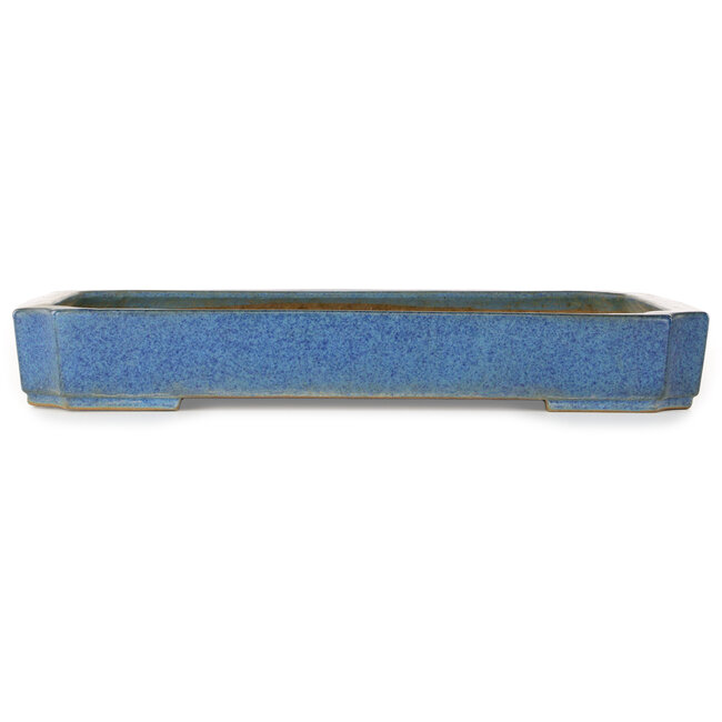 Rectangular blue bonsai pot by Seizan (Reihou, Kataoka Katsushi, master Seizan kiln) - 477 x 330 x 65 mm