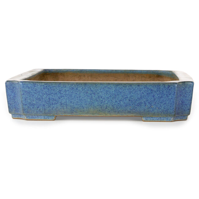 Maceta rectangular para bonsái azul de Seizan (Reihou, Kataoka Katsushi, maestro del horno Seizan) - 477 x 330 x 65 mm
