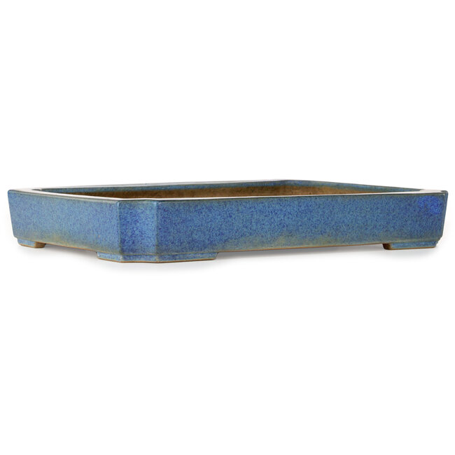 Maceta rectangular para bonsái azul de Seizan (Reihou, Kataoka Katsushi, maestro del horno Seizan) - 477 x 330 x 65 mm
