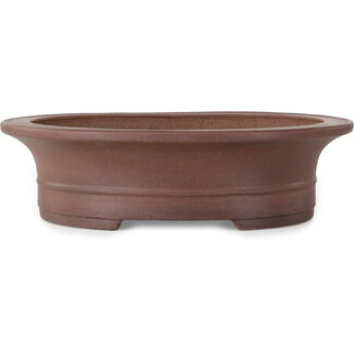 Seibun Vaso bonsai ovale non smaltato da 293 mm di Seibun, Giappone
