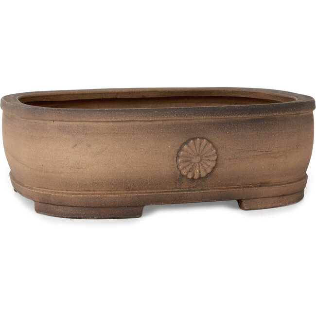 Vaso bonsai ovale non smaltato di Haru Matsu - 310 x 243 x 98 mm