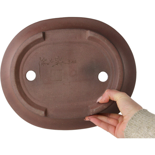 Maceta ovalada sin esmaltar para bonsái de Seibun - 293 x 243 x 80 mm