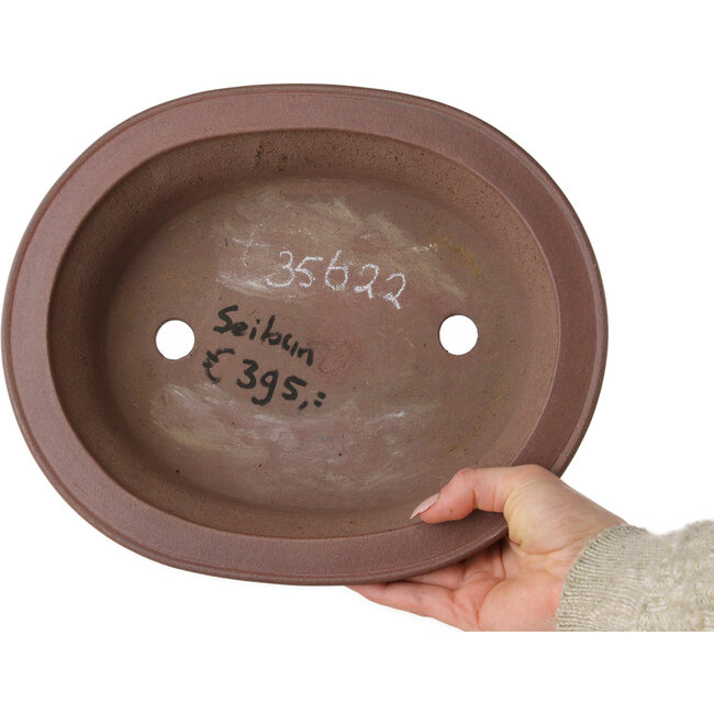 Ovale, ongeglazuurde bonsaipot van Seibun - 293 x 243 x 80 mm
