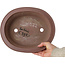 Pot à bonsaï ovale non émaillé de Seibun - 293 x 243 x 80 mm