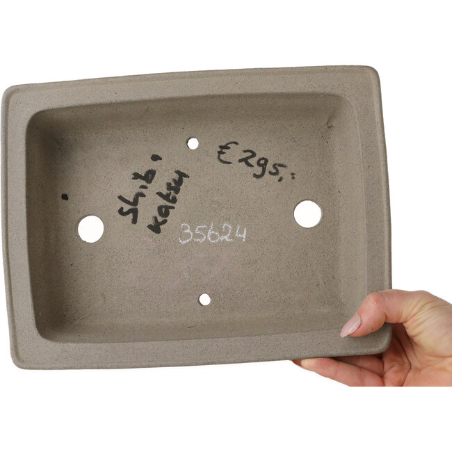 Pot à bonsaï rectangulaire non émaillé de Shibakatsu - 260 x 197 x 65 mm