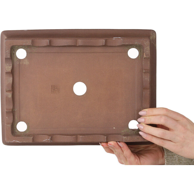 Pot à bonsaï rectangulaire non émaillé d'Izumiya (Zenigo) - 322 x 242 x 70 mm