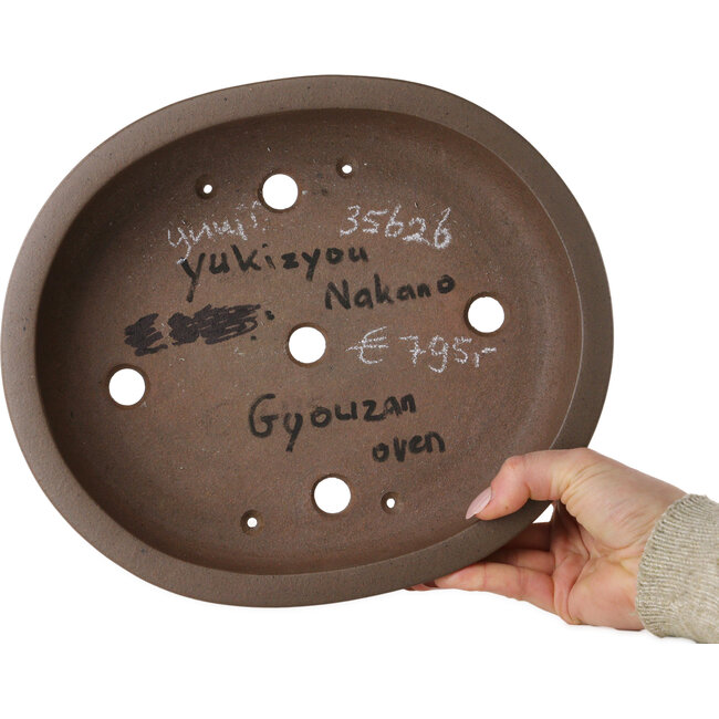 Vaso bonsai ovale non smaltato di Uji (Gyouzan) - 280 x 240 x 70 mm