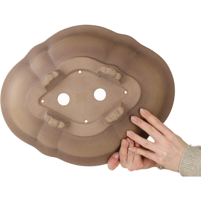 Mokko ongeglazuurde bonsaipot van Izumiya (Zenigo) - 400 x 325 x 130 mm