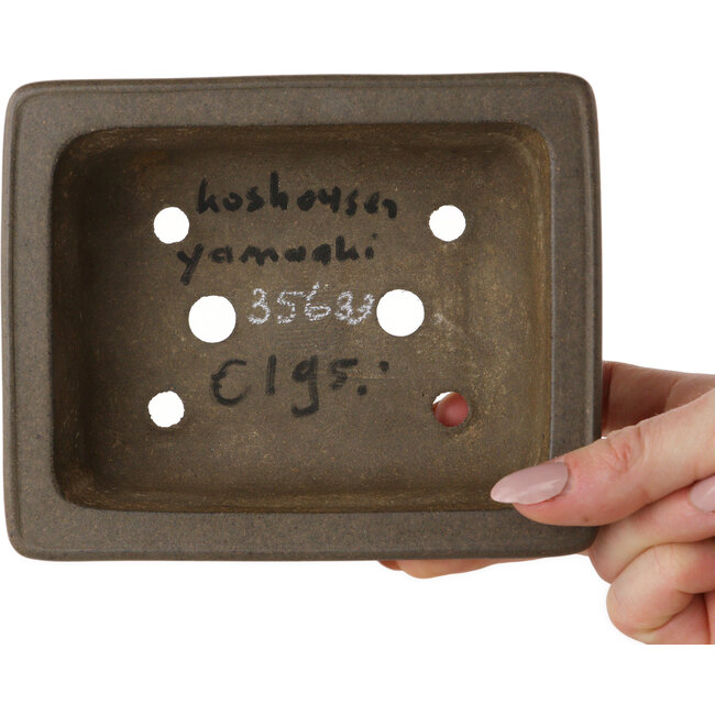 Maceta rectangular sin esmaltar para bonsái de Yamaaki Koshosen (segunda generación) - 140 x 113 x 47 mm