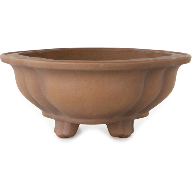 Vaso bonsai Lotus non smaltato di Izumiya (Zenigo) - 340 x 275 x 113 mm