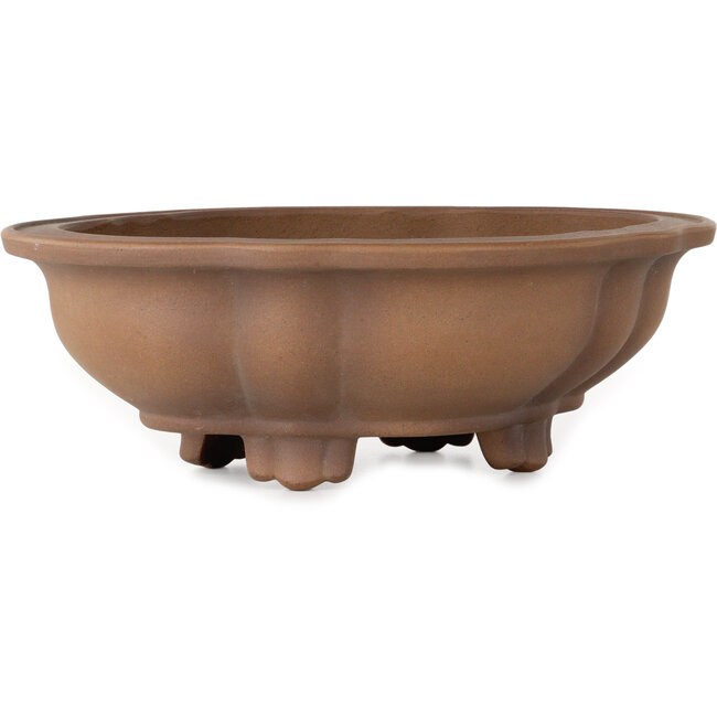 Lotus bonsai pot zonder glazuur van Izumiya (Zenigo) - 340 x 275 x 113 mm