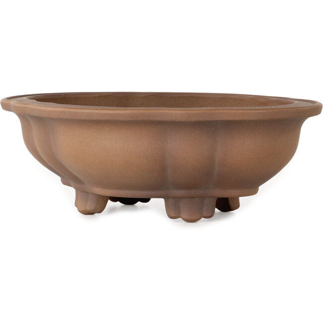 Lotus bonsai pot zonder glazuur van Izumiya (Zenigo) - 340 x 275 x 113 mm