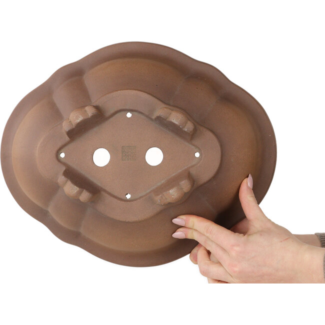 Vaso bonsai Lotus non smaltato di Izumiya (Zenigo) - 340 x 275 x 113 mm