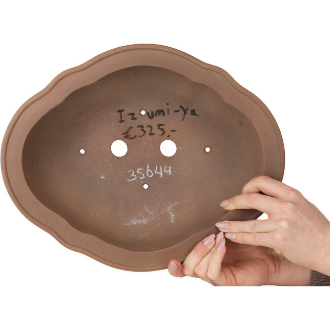 Lotus bonsai pot zonder glazuur van Izumiya (Zenigo) - 340 x 275 x 113 mm