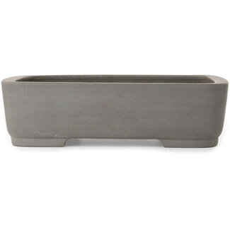 Kisen Ikkoudou Vaso bonsai ovale non smaltato da 413 mm di Kisen Ikkoudou, Tokoname, Giappone