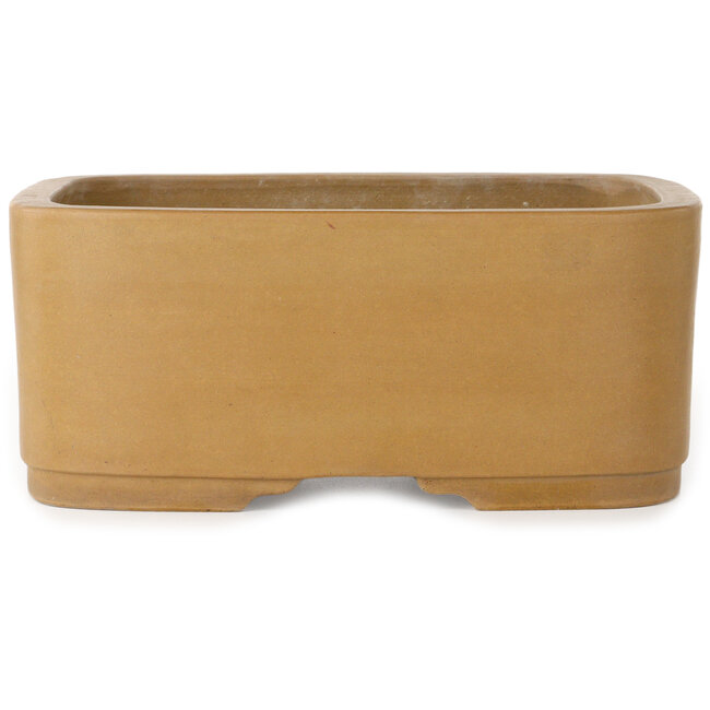 Vaso bonsai ovale non smaltato di Shoko - 308 x 245 x 130 mm