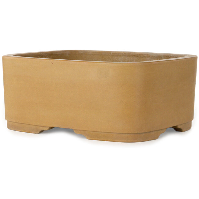 Vaso bonsai ovale non smaltato di Shoko - 308 x 245 x 130 mm