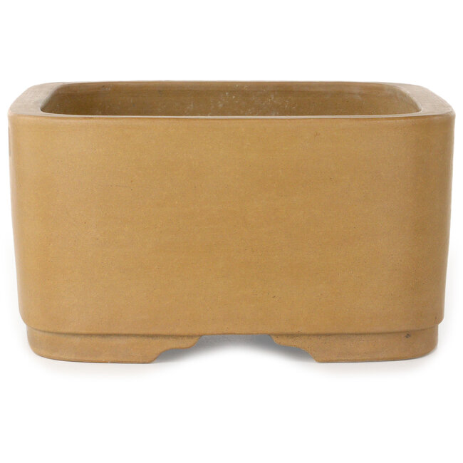 Oval unglazed bonsai pot by Shoko - 308 x 245 x 130 mm