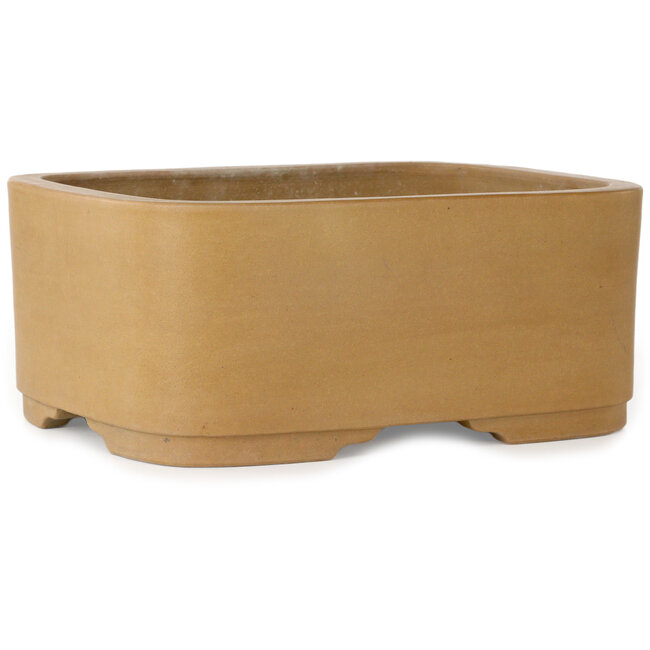 Oval unglazed bonsai pot by Shoko - 308 x 245 x 130 mm