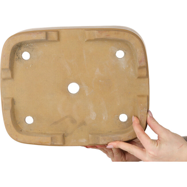 Maceta ovalada sin esmaltar para bonsái de Shoko - 308 x 245 x 130 mm