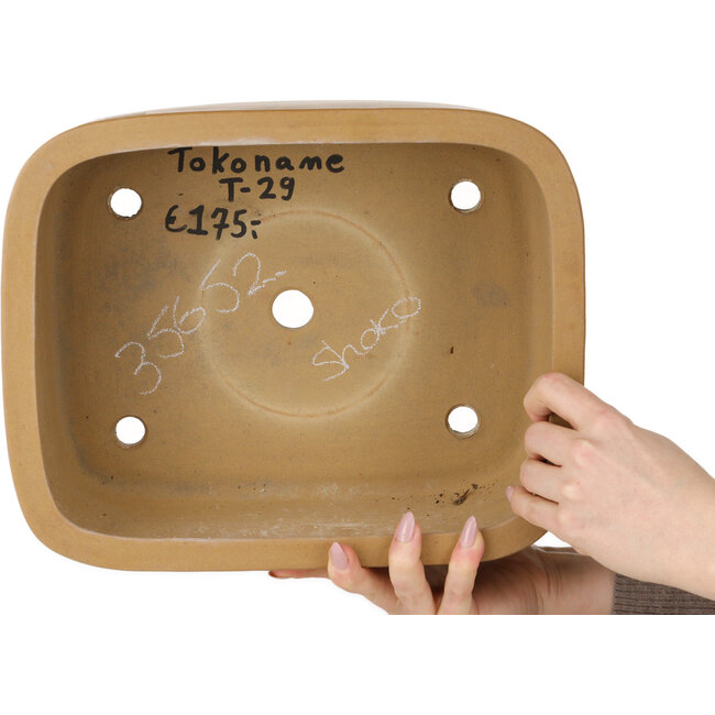 Pot à bonsaï ovale non émaillé de Shoko - 308 x 245 x 130 mm