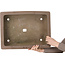 Pot à bonsaï rectangulaire non émaillé - 507 x 380 x 105 mm