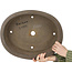 Ovale, ongeglazuurde bonsaipot van Keizan - 475 x 375 x 138 mm