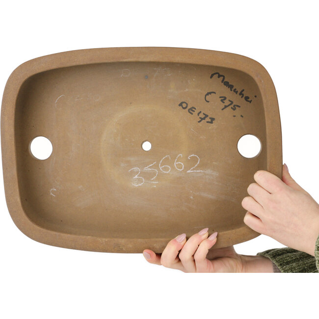 Maceta ovalada sin esmaltar para bonsái de Maruhei - 393 x 290 x 82 mm