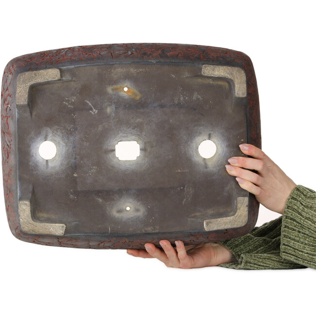 Vaso bonsai ovale non smaltato di Sanko (Yamato, Mitsuo Yamada) - 455 x 365 x 145 mm