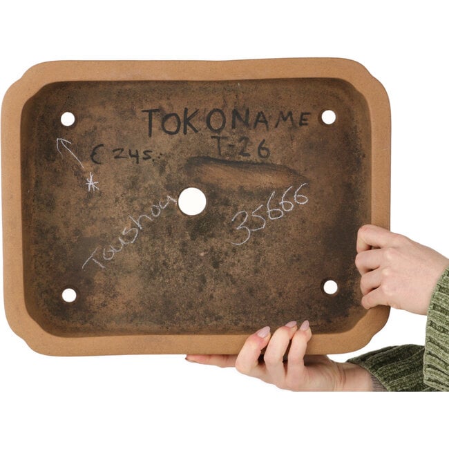 Maceta ovalada sin esmaltar para bonsái de Tosho - 395 x 300 x 115 mm