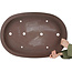 Pot à bonsaï ovale non émaillé de Yamaaki Toshio (troisième génération) - 770 x 530 x 125 mm