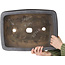 Pot à bonsaï rectangulaire non émaillé - 470 x 435 x 135 mm
