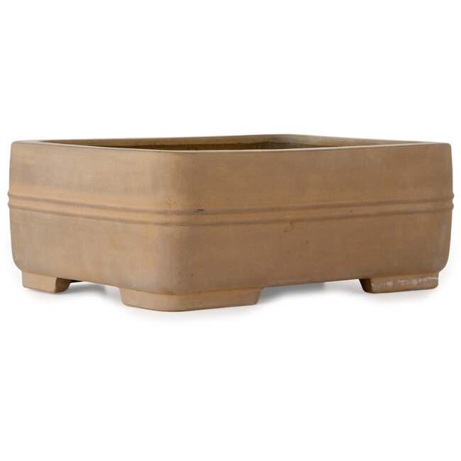 Vaso bonsai rettangolare non smaltato di Shouzan Kaneshou (Masami Watanabe) - 375 x 288 x 148 mm