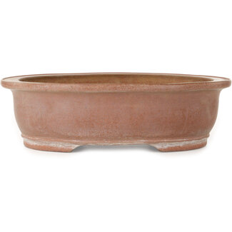 Suishoen Hekisui Vaso bonsai ovale non smaltato da 402 mm di Suishoen Hekisui, Tokoname, Giappone