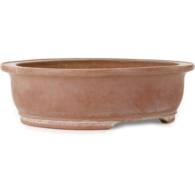 Vaso bonsai ovale non smaltato di Suishoen Hekisui - 402 x 347 x 115 mm