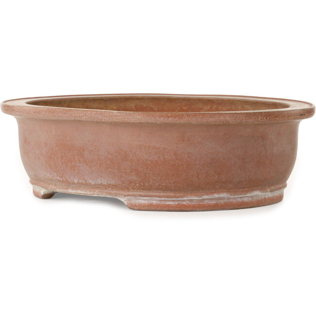 Maceta ovalada sin esmaltar para bonsái de Suishoen Hekisui - 402 x 347 x 115 mm