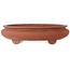 Pot ovale non émaillé pour bonsaï - 395 x 345 x 95 mm