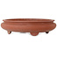 Vaso bonsai ovale non smaltato - 395 x 345 x 95 mm