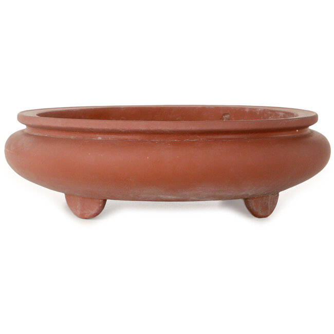 Vaso bonsai ovale non smaltato - 395 x 345 x 95 mm