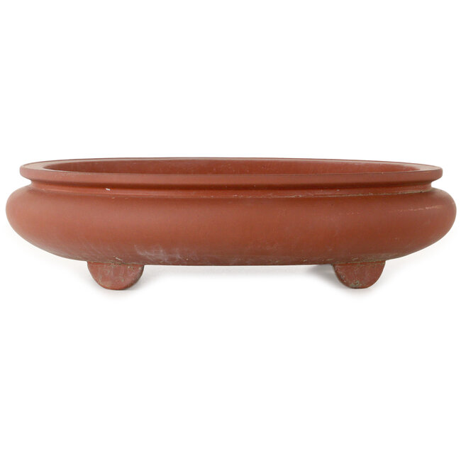 Oval unglazed bonsai pot - 395 x 345 x 95 mm