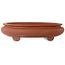 Pot ovale non émaillé pour bonsaï - 395 x 345 x 95 mm
