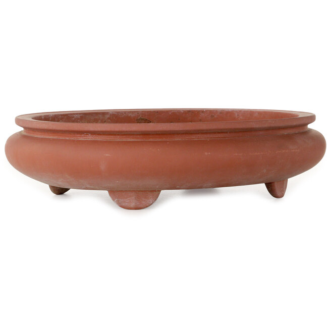 Vaso bonsai ovale non smaltato - 395 x 345 x 95 mm