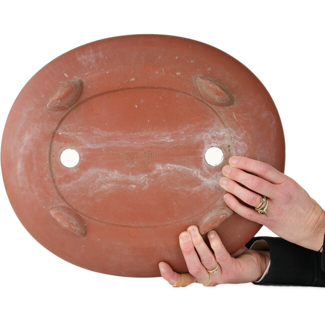 Pot ovale non émaillé pour bonsaï - 395 x 345 x 95 mm