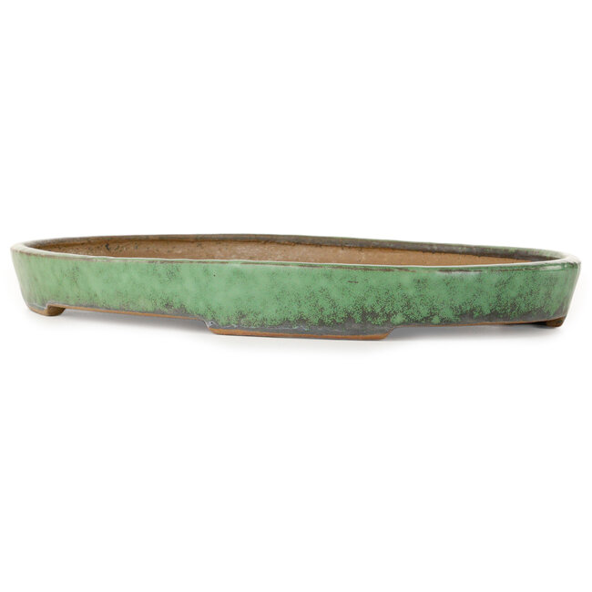 Oval green bonsai pot by Shuhou - 460 x 320 x 40 mm