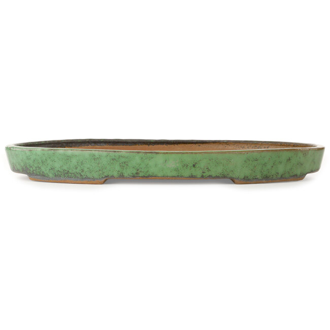 Pot ovale vert pour bonsaï de Shuhou - 460 x 320 x 40 mm
