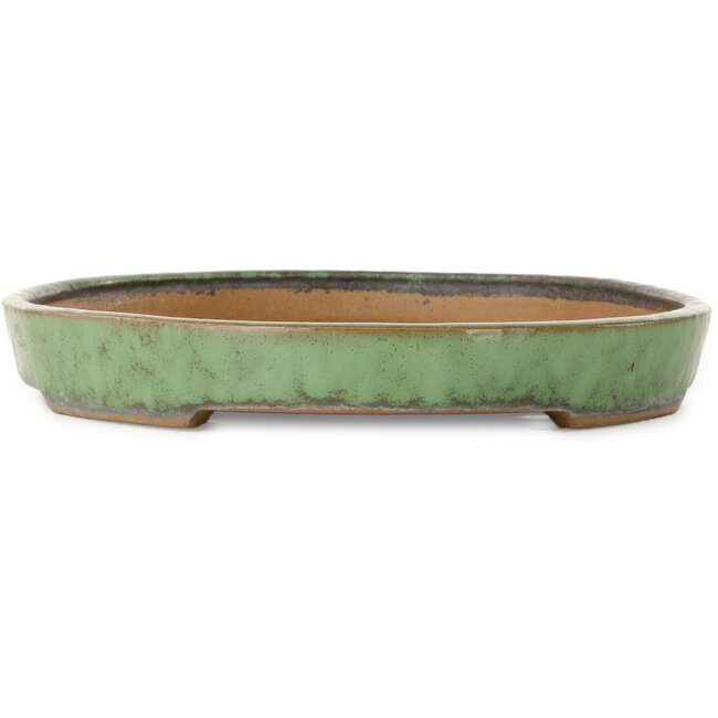 Ovale groene bonsaipot van Shuhou - 460 x 320 x 40 mm