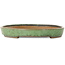 Maceta ovalada verde para bonsái de Shuhou - 460 x 320 x 40 mm